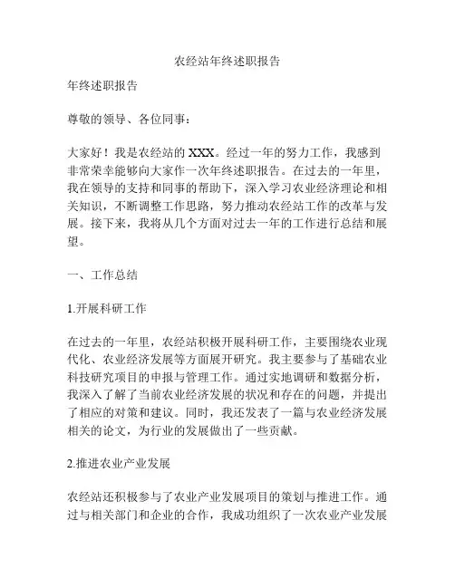 农经站年终述职报告