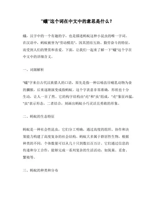 ”蚁”这个词在中文中的意思是什么？