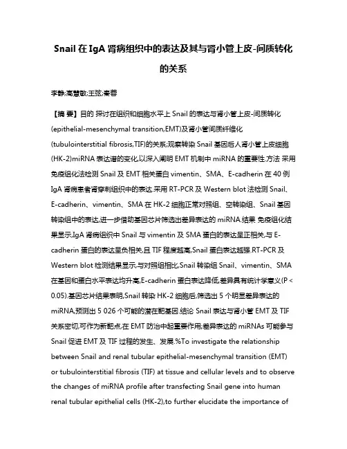 Snail在IgA肾病组织中的表达及其与肾小管上皮-间质转化的关系