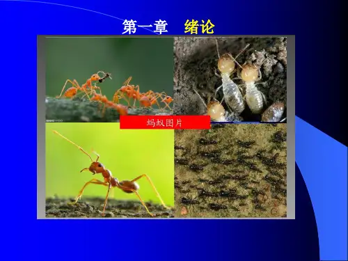 昆虫化学生态学资料
