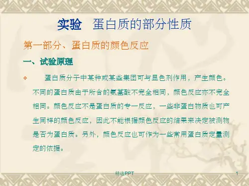 《蛋白质性质试验》PPT课件