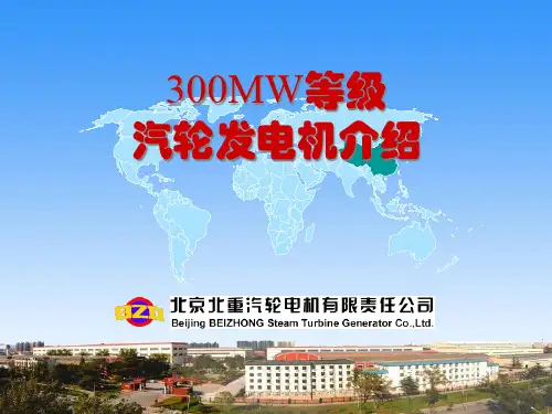 汽轮发电机介绍-300MW等级PPT课件