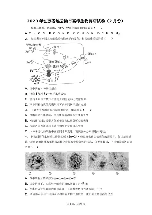 2023年江苏省连云港市高考生物调研试卷(2月份)+答案解析(附后)