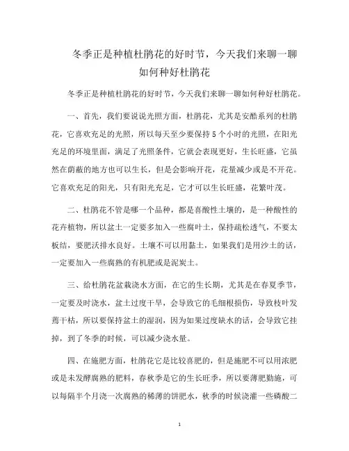 冬季正是种植杜鹃花的好时节,今天我们来聊一聊如何种好杜鹃花