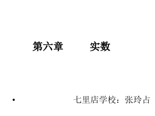 苏科版八年级上册数学：4.3 实数(公开课课件)