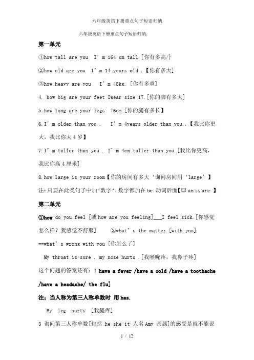 六年级英语下册重点句子短语归纳