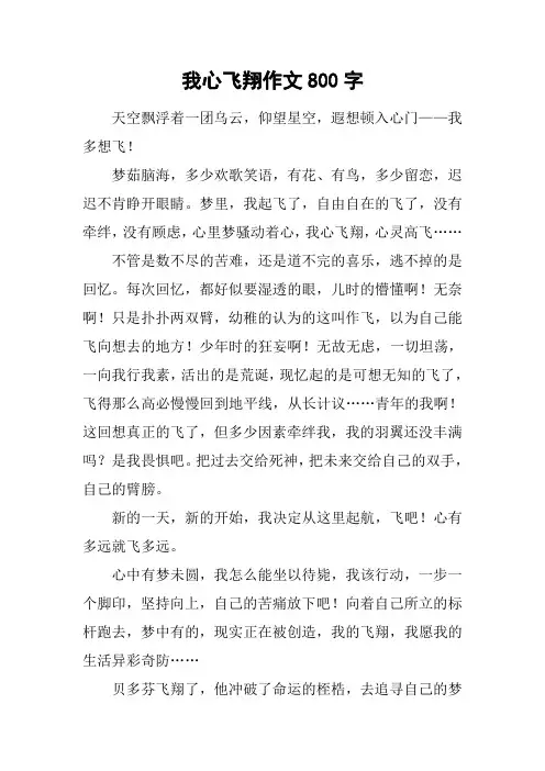 我心飞翔作文800字_3