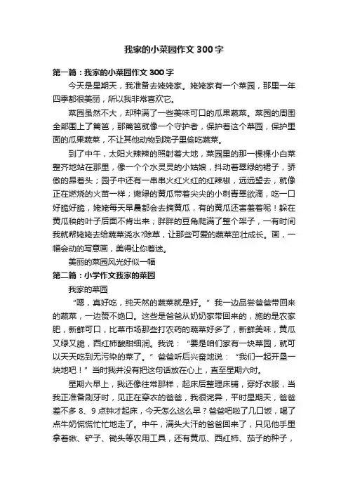 我家的小菜园作文300字