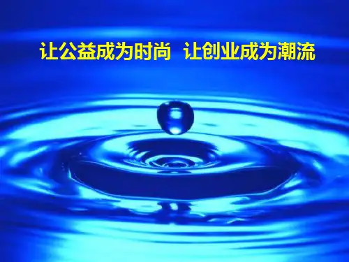 挑战杯获奖作品PPT滴水恩(金奖)
