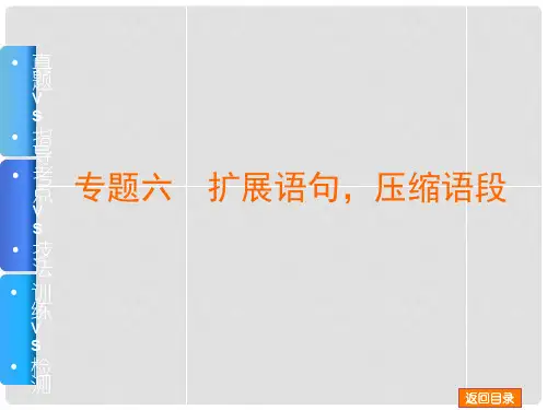 高考语文一轮复习 专题6 扩展语句,压缩语段课件