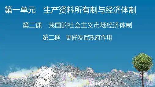 高中思想政治必修第2册 第2课 第二框 更好发挥政府作用