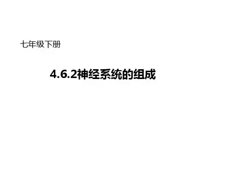 2神经系统的组成  公开课一等奖 课件