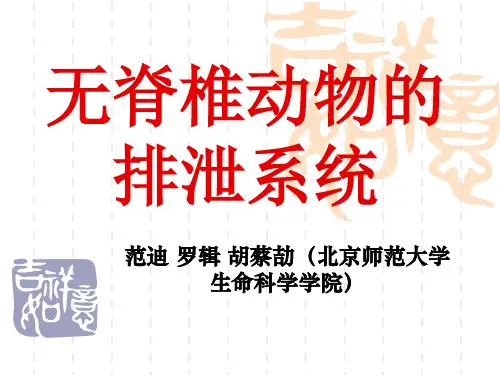 无脊椎动物的排泄系统 - 北京师范大学精品课程网