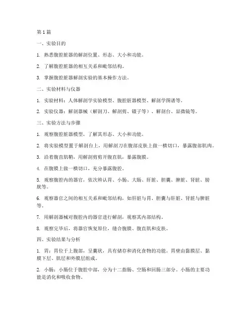 腹腔脏器的实验报告(3篇)