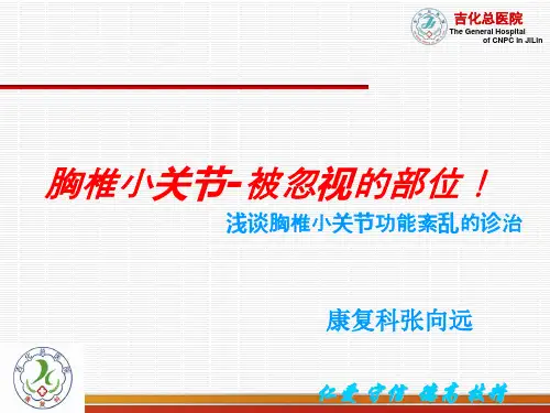 胸椎小关节功能紊乱的诊治-张向远