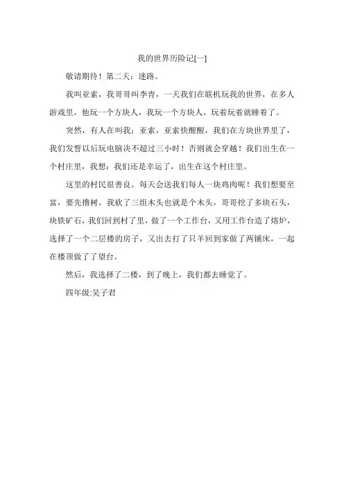 我的世界历险记一-作文