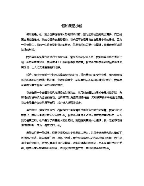 假如我是小偷