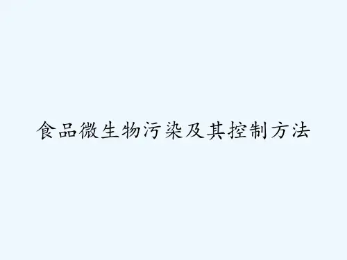 食品微生物污染及其控制方法-PPT