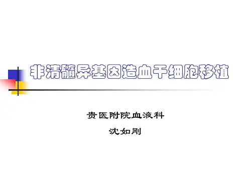 非清髓异基因造血干细胞移植
