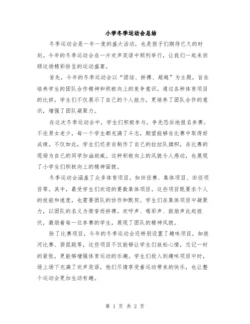 小学冬季运动会总结