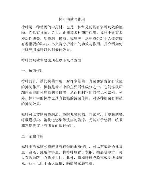 樟叶功效与作用