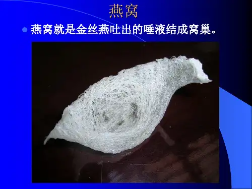 燕窝课件完整版