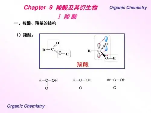 有机化学羧酸及其衍生物