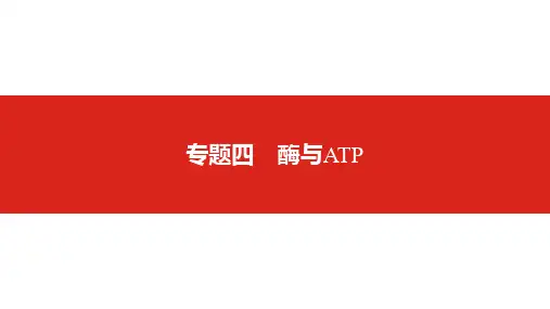 2019版高考生物一轮复习名师课件：第二单元专题四  酶与ATP (共91张PPT)