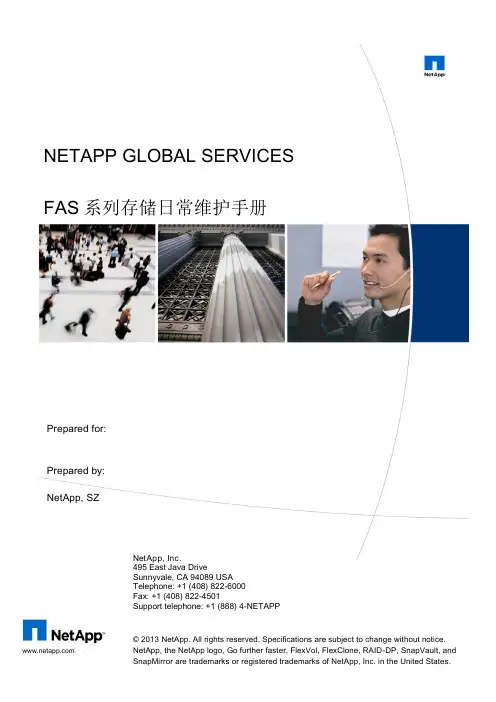NetApp存储日常维护手册