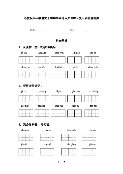 苏教版六年级语文下学期毕业考点知识综合复习训练含答案