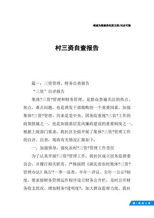 村三资自查报告