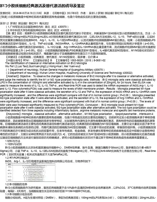 BV2小胶质细胞经典激活及替代激活的诱导及鉴定