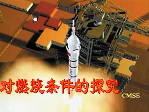 对燃烧条件的探究PPT课件