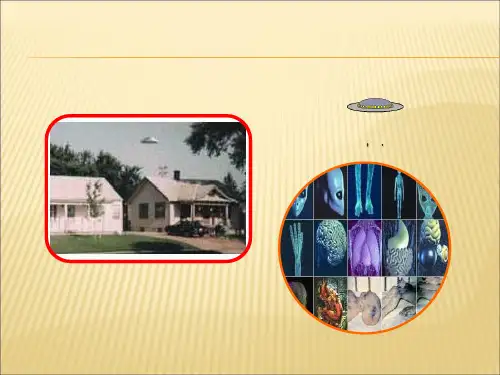 粤教版地理七年级上《地球的形状和大小》ppt课件