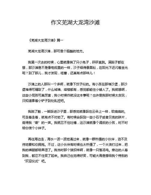 作文芜湖大龙湾沙滩