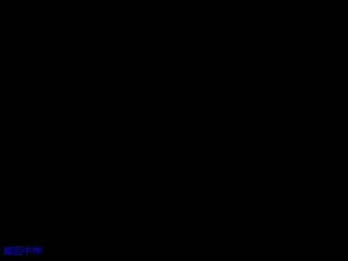 《醉花阴》课件(49张)