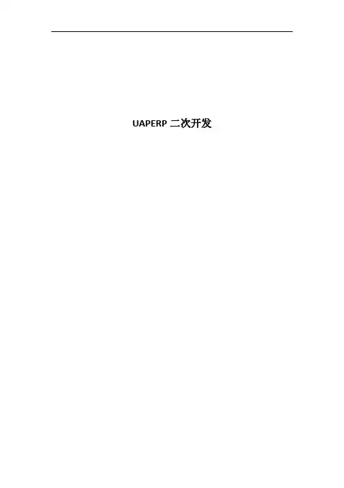 UAPERP二次开发