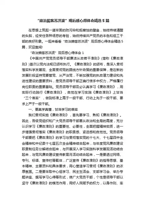 “政治掮客苏洪波”观后感心得体会精选5篇