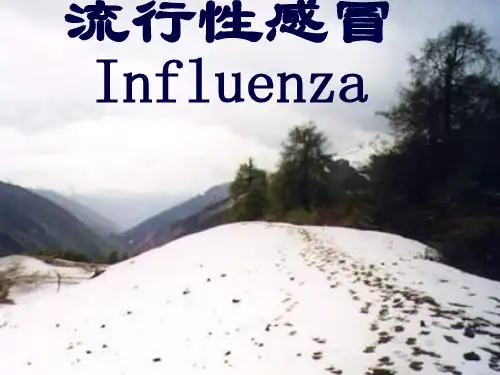 流感ppt课件