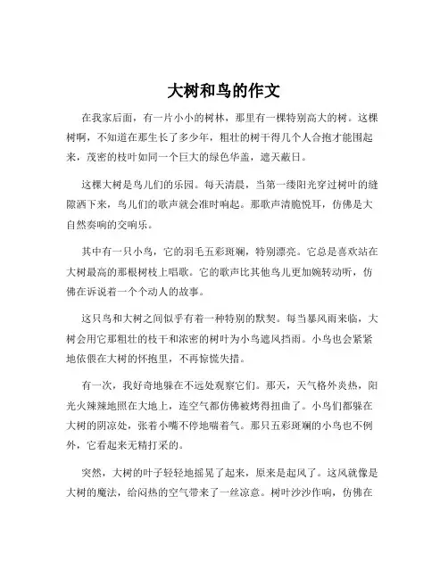 大树和鸟的作文
