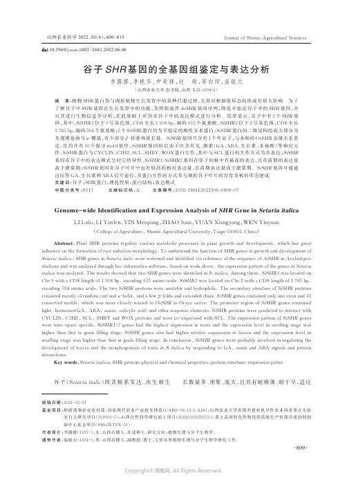 谷子SHR_基因的全基因组鉴定与表达分析