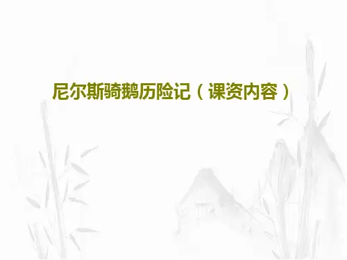 尼尔斯骑鹅历险记(课资内容)18页PPT