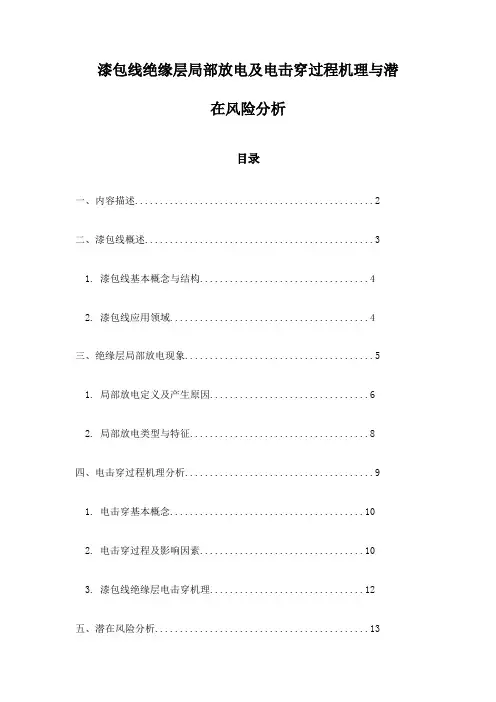 漆包线绝缘层局部放电及电击穿过程机理与潜在风险分析