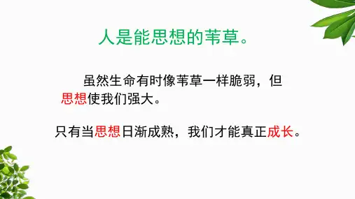 人教版《道德与法治》七年级下册 1.2成长的不仅仅是身体课件
