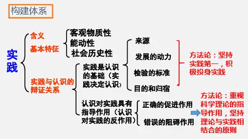 高中政治 必修四哲学生活 6.2  在实践中追求和发展真理