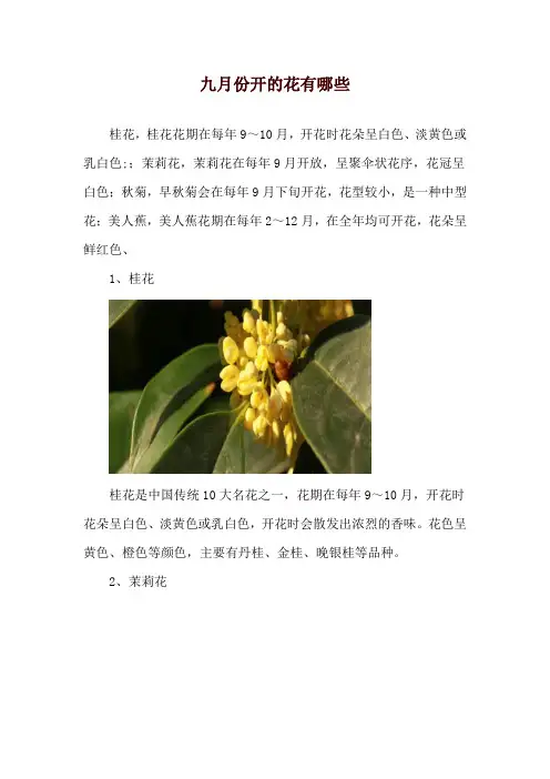 九月份开的花有哪些