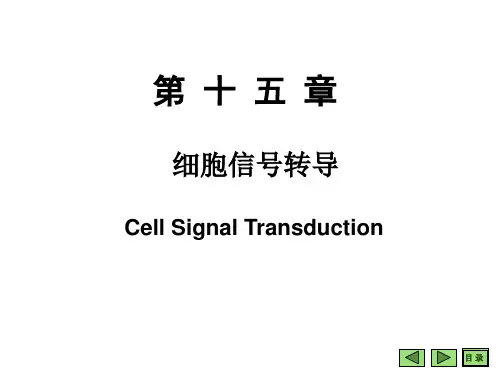 生物化学 第15章细胞信号转导