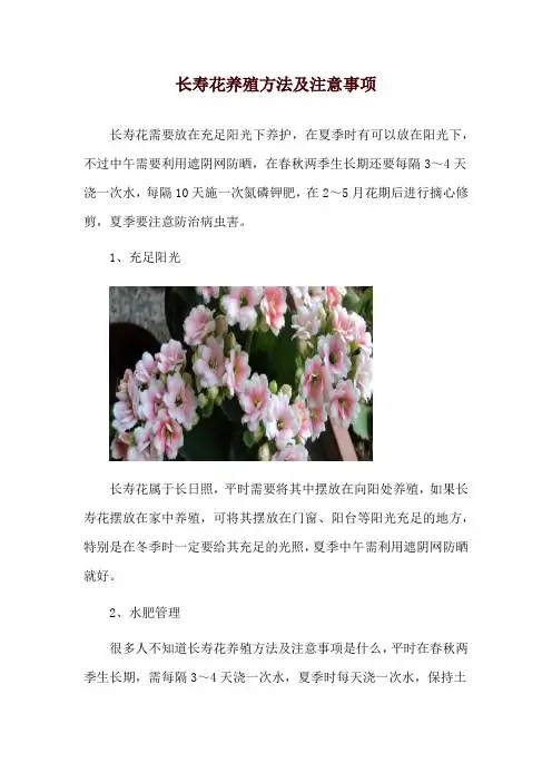 长寿花养殖方法及注意事项