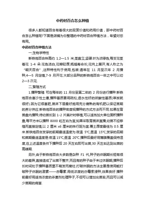 中药材百合怎么种植