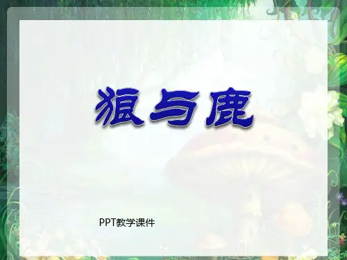 狼和鹿(1)PPT课件